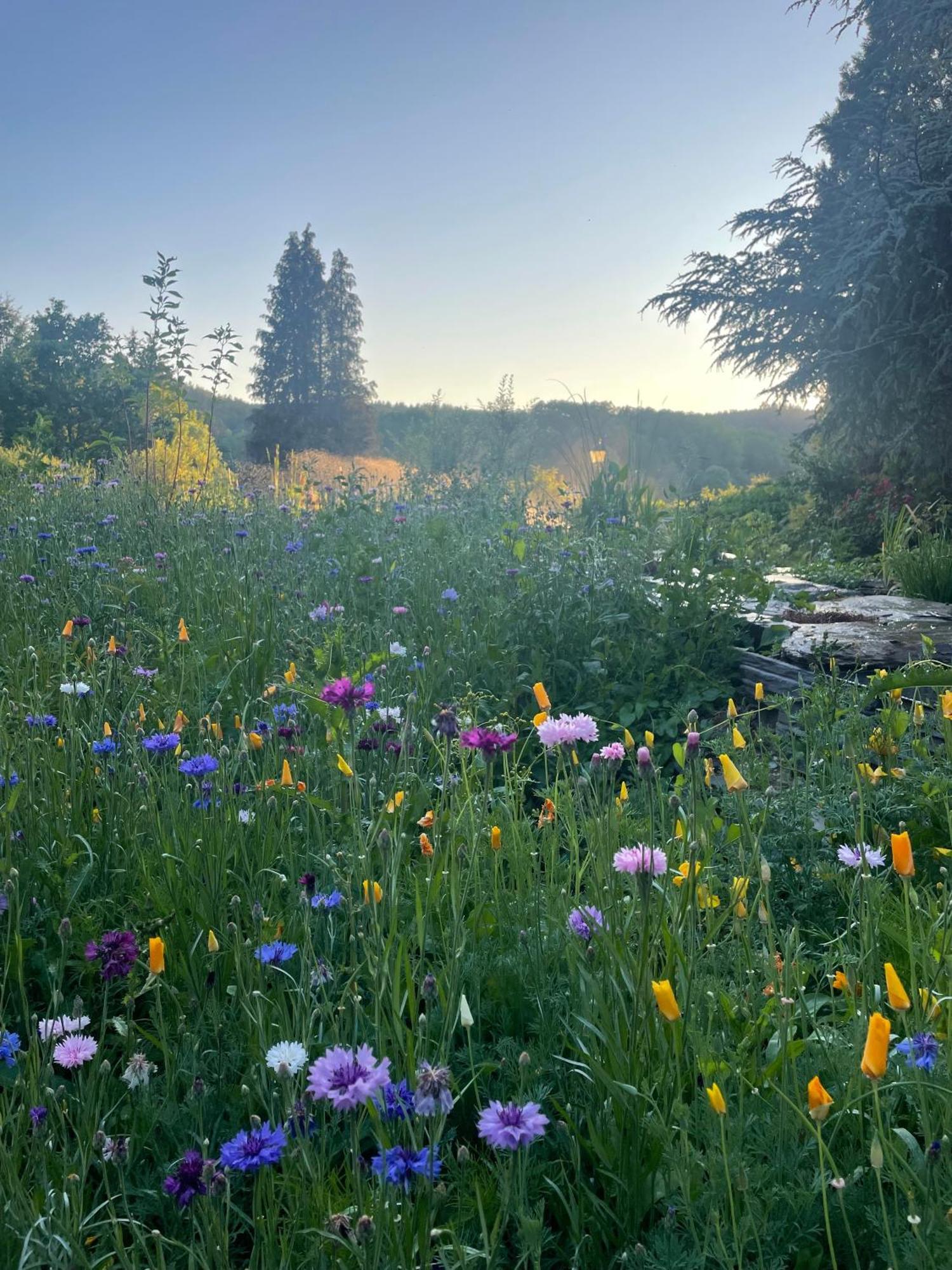 فيلا Domaine De L'Ardoisiere اله المظهر الخارجي الصورة